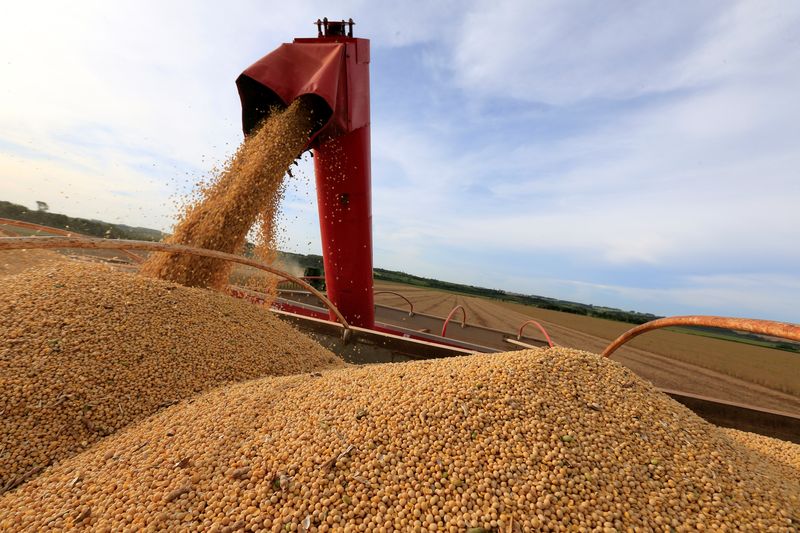 Colheita de soja do Brasil supera 30% da área, diz Pátria AgroNegócios